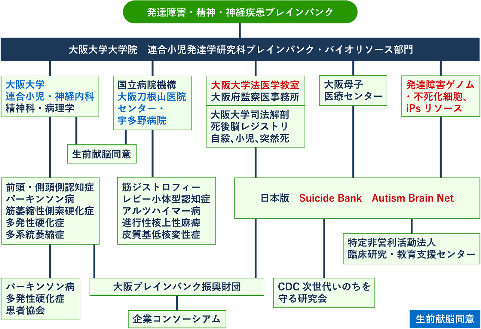 日本ブレインバンクネットワーク関西拠点