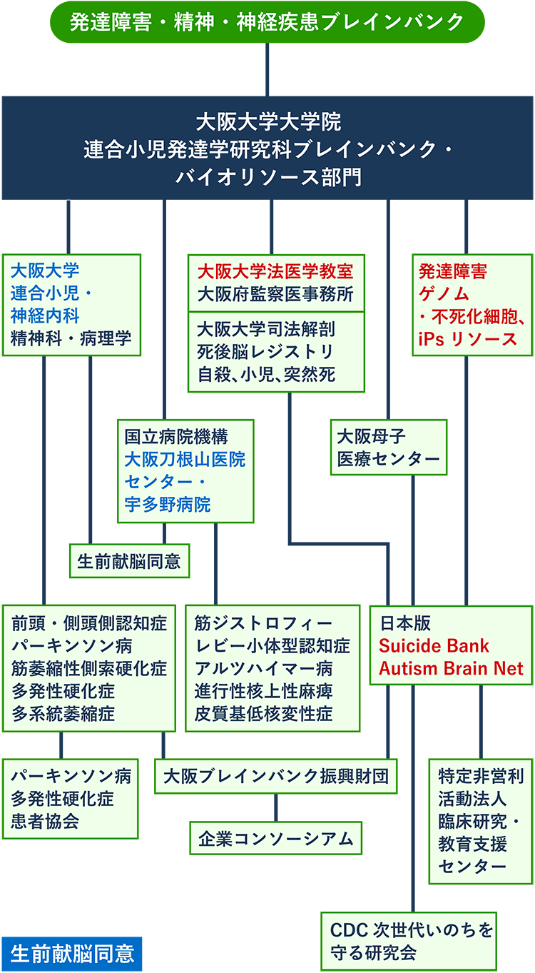 日本ブレインバンクネットワーク関西拠点