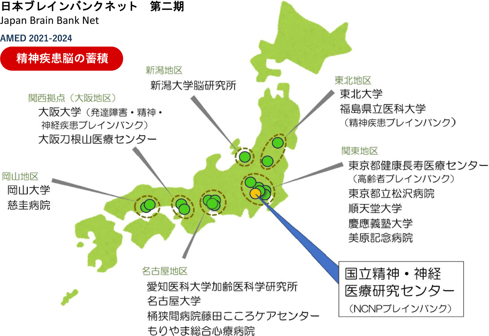 日本ブレインバンクネット　第二期　精神疾患脳の蓄積